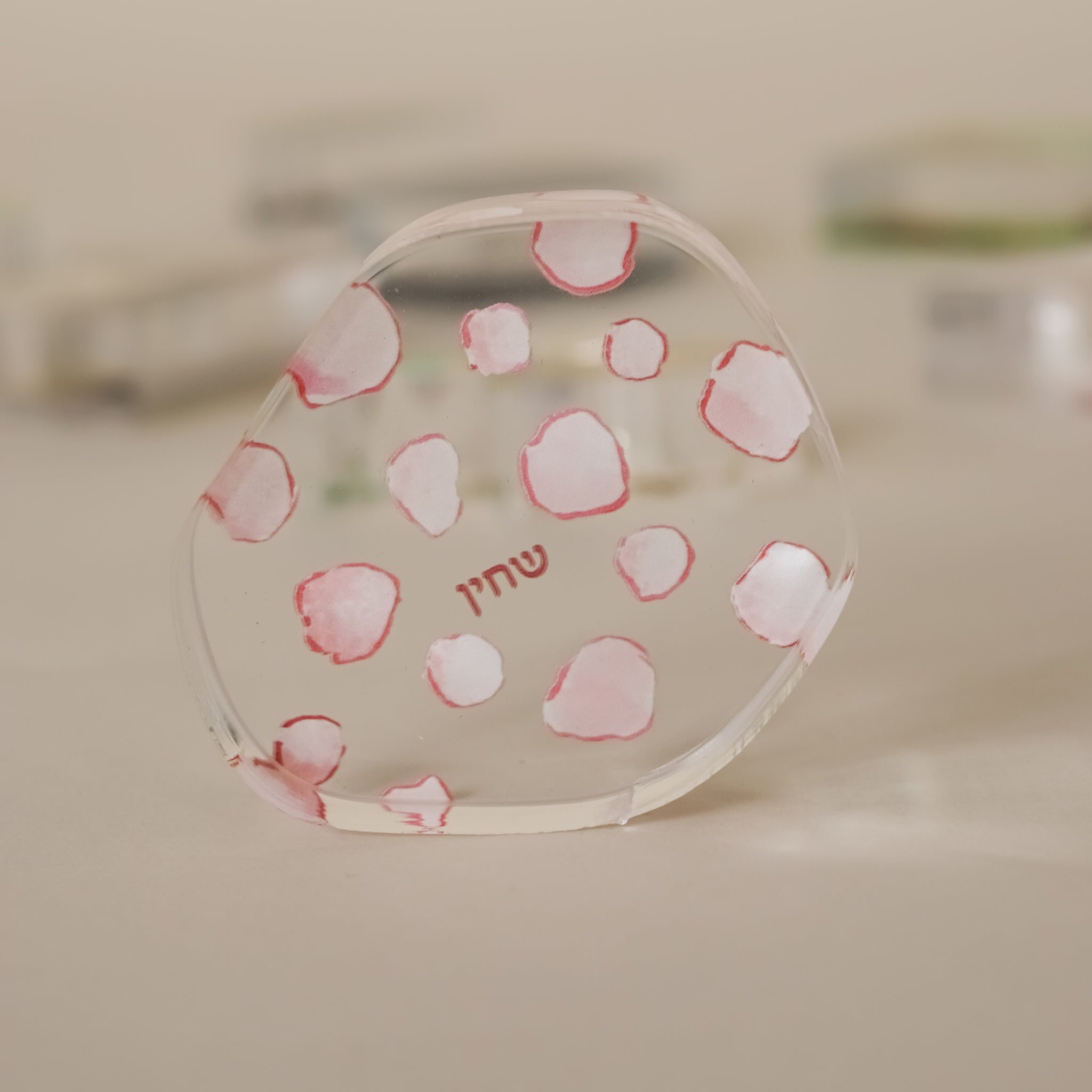 10 Plagues Interactive Acrylic Art