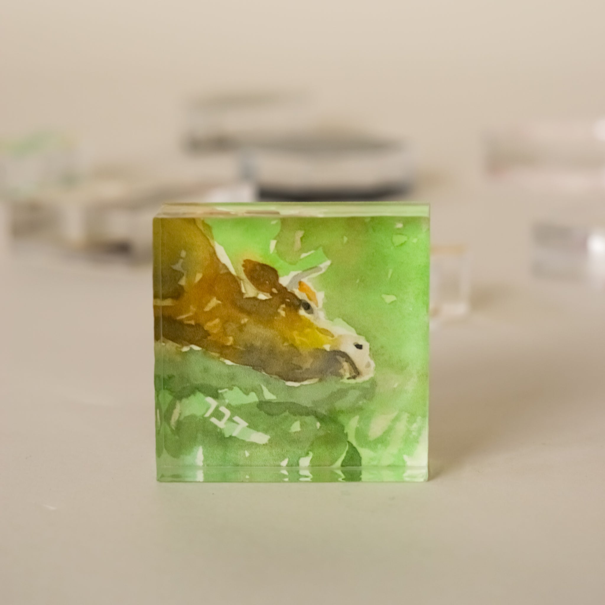 10 Plagues Interactive Acrylic Art