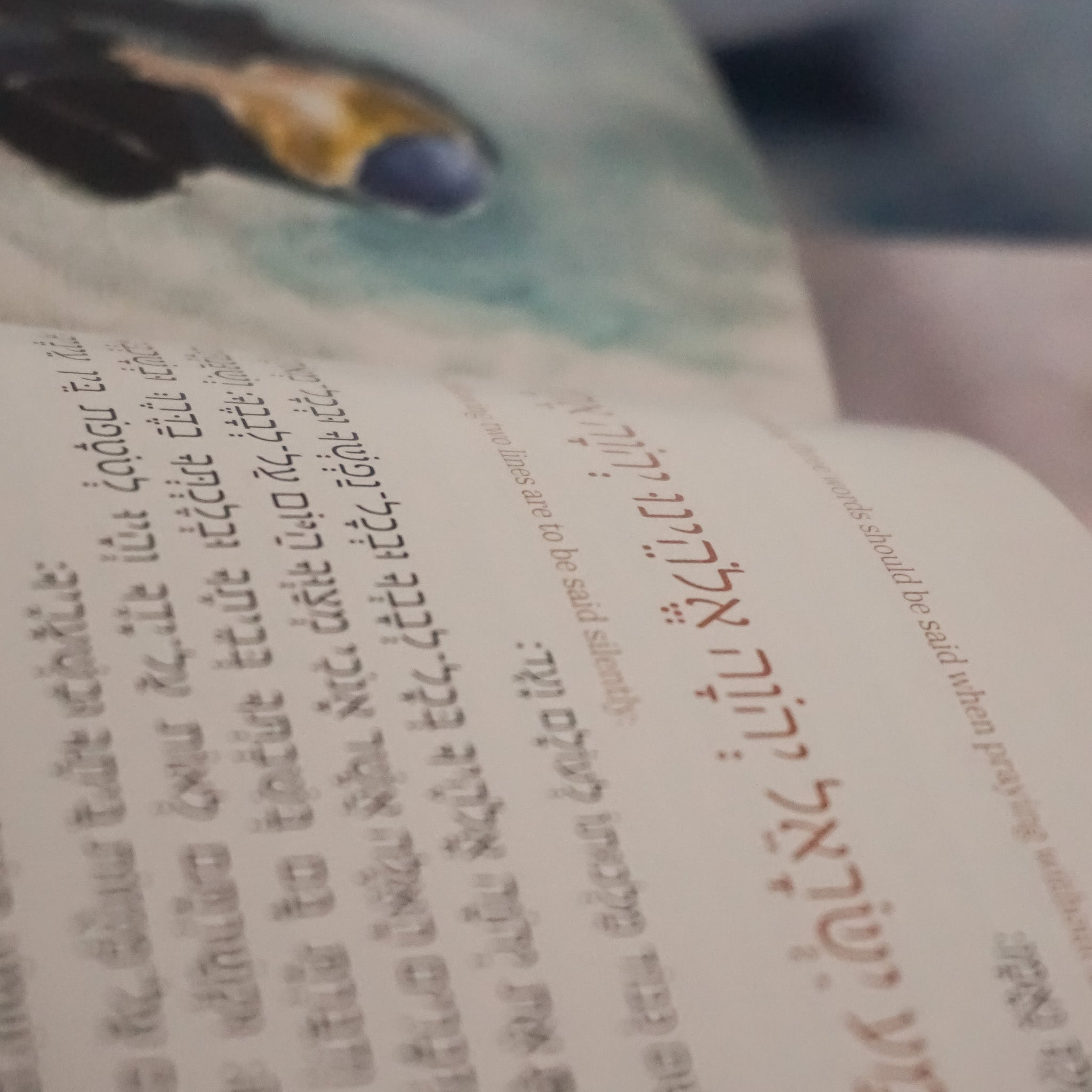Rosh Hashana Machzor