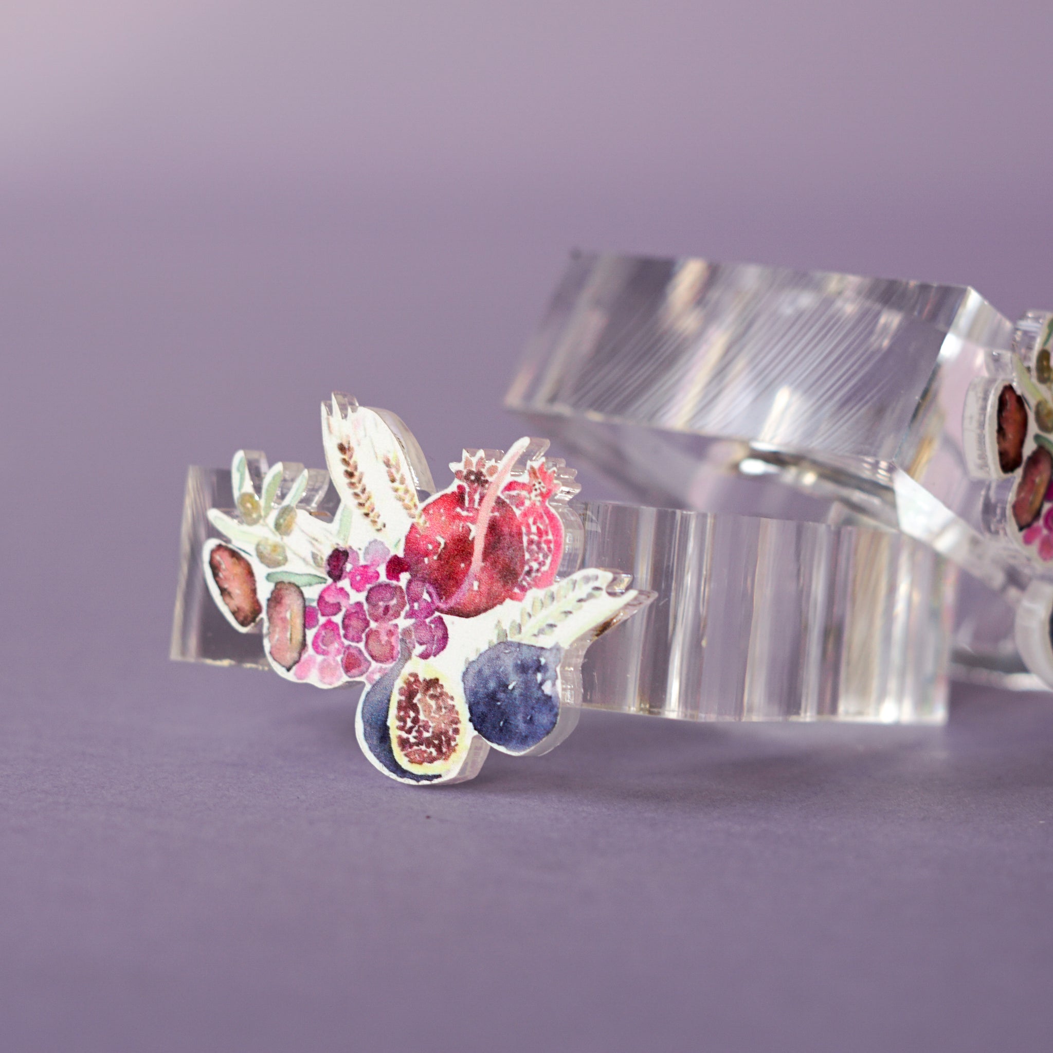 Shivas Haminim Acrylic Napkin Rings
