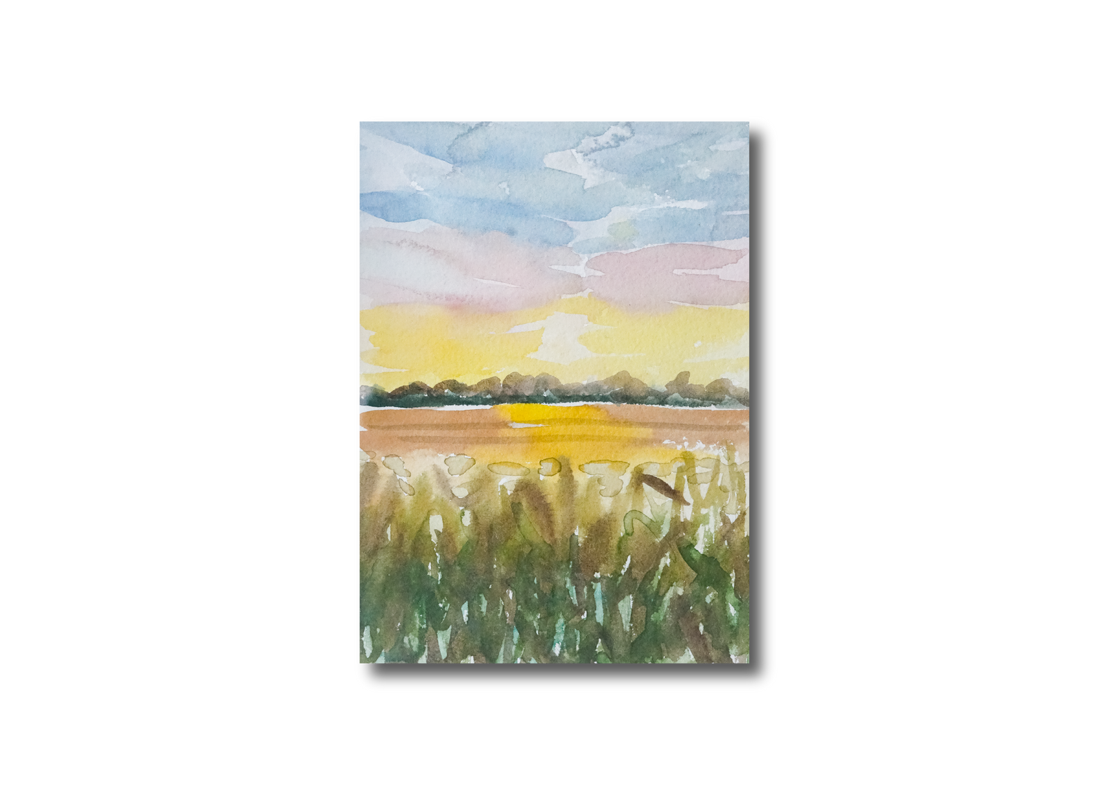 Field Mini Watercolor