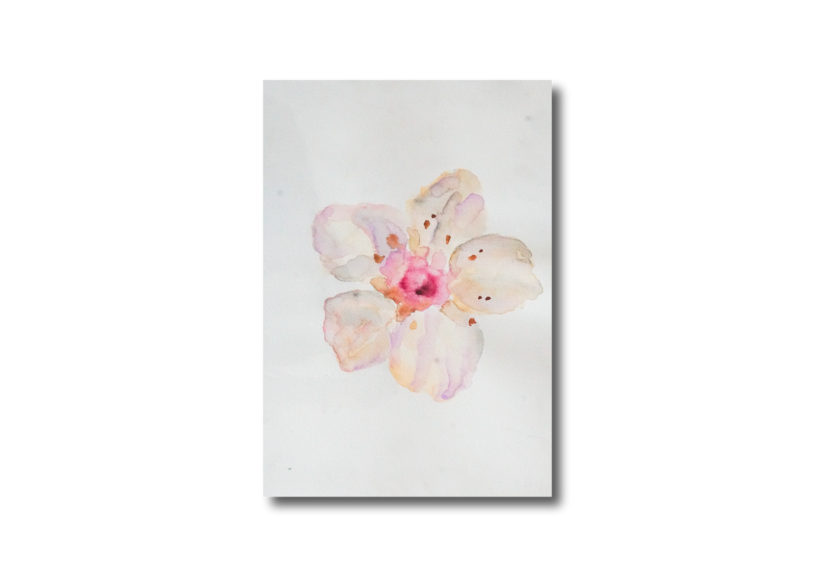 Single Flower Watercolor