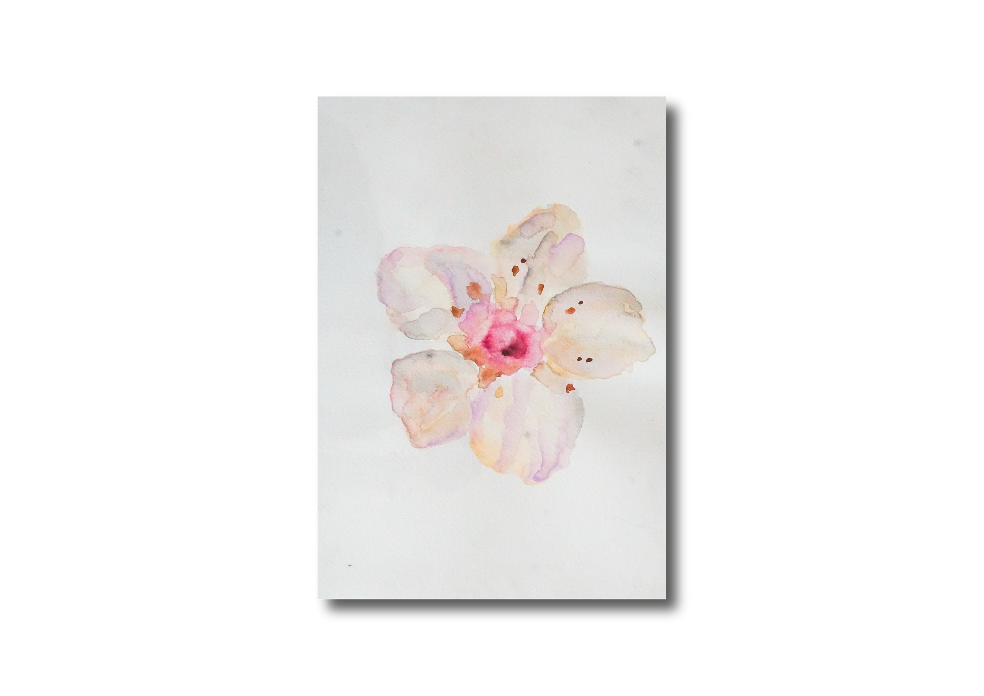 Single Flower Watercolor
