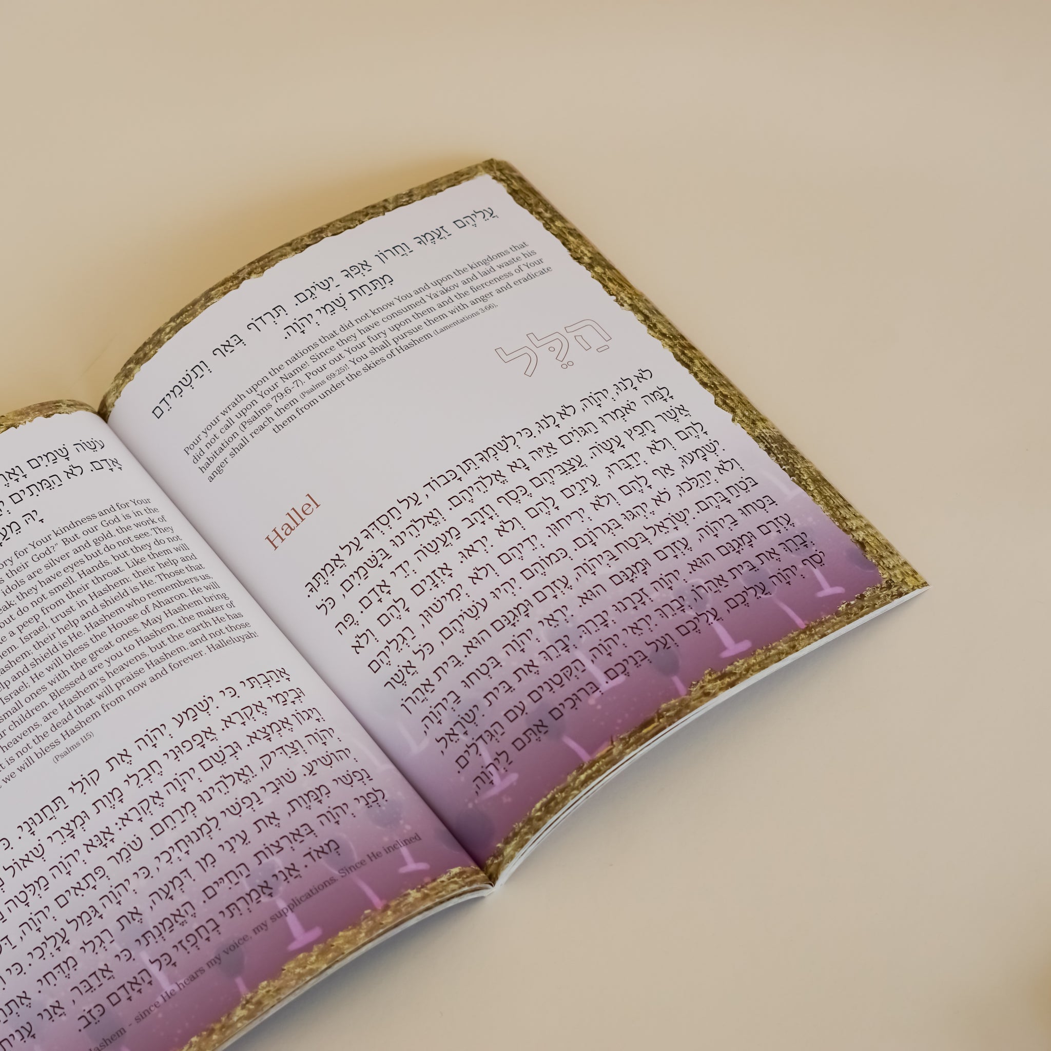 Limited Edition Soft Cover Haggadah