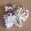 Shivat Haminim Napkins | Set of Four