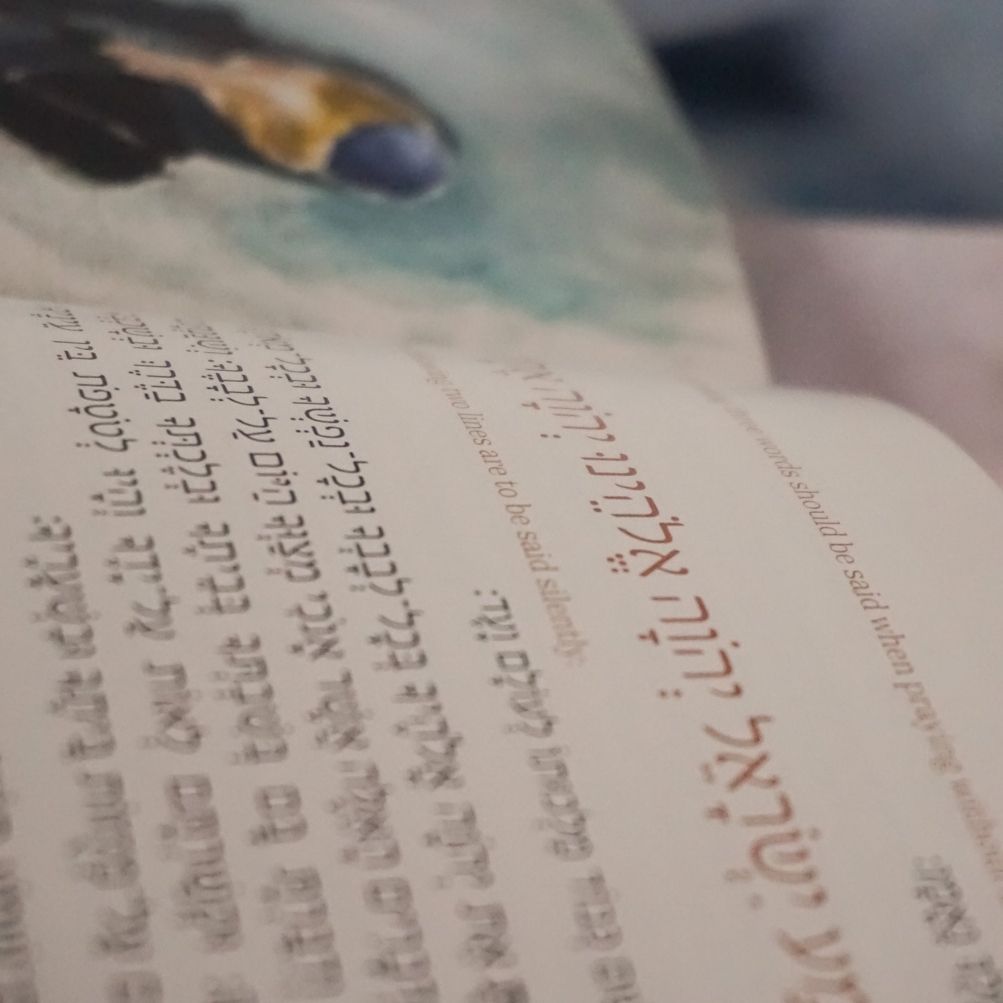Rosh Hashana Machzor