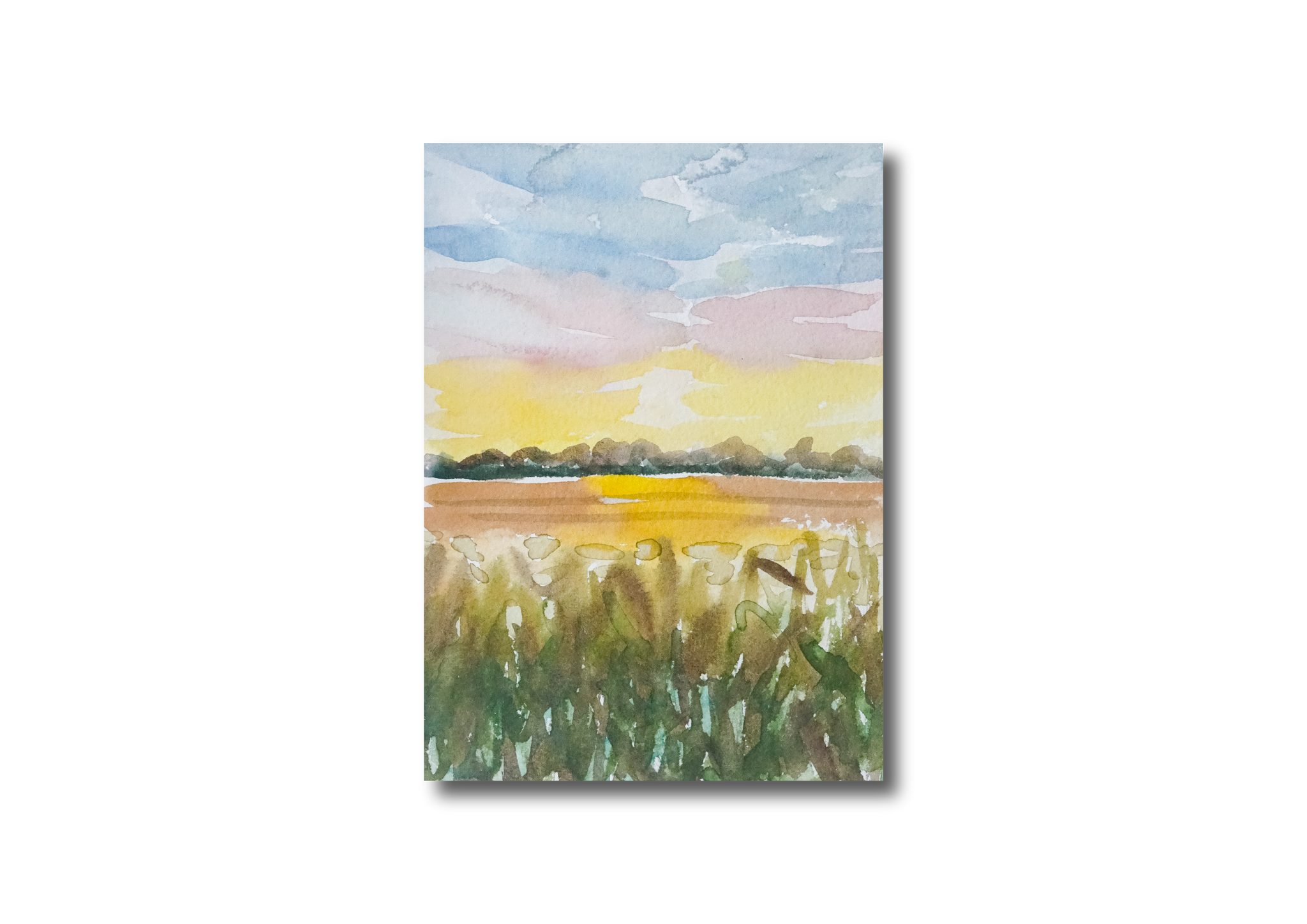 Field Mini Watercolor