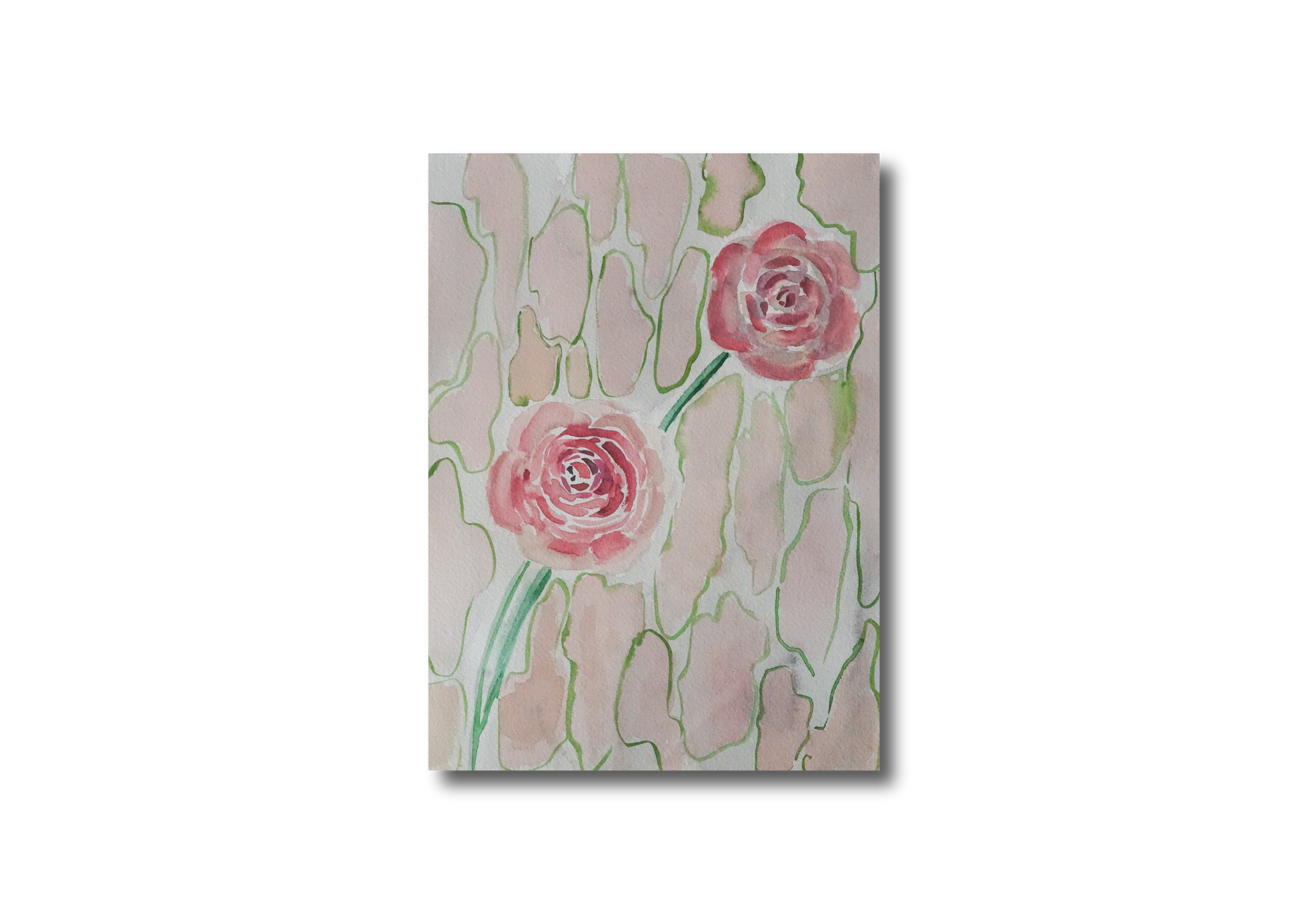 Pink Roses Watercolor