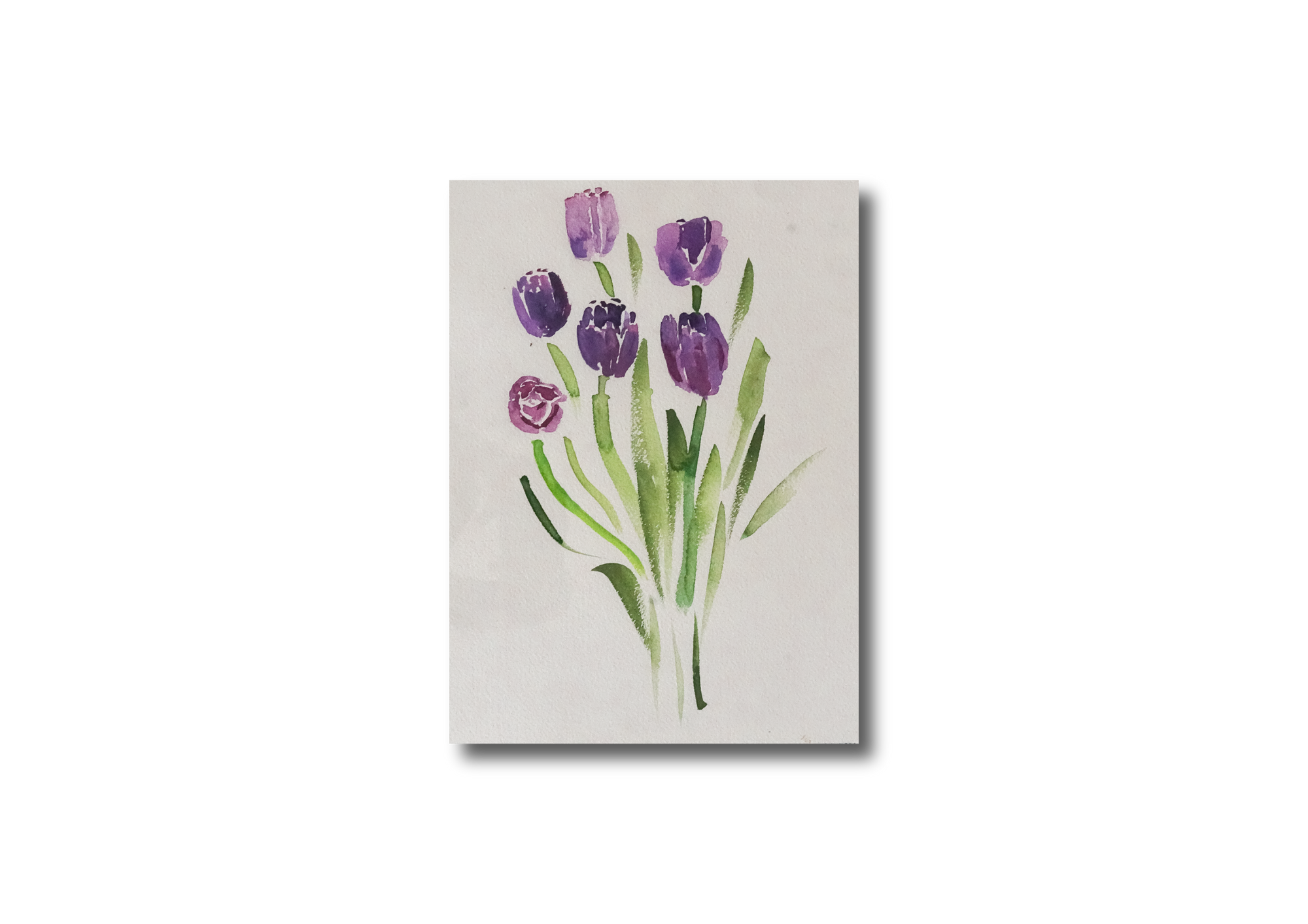 Purple Tulips Watercolor