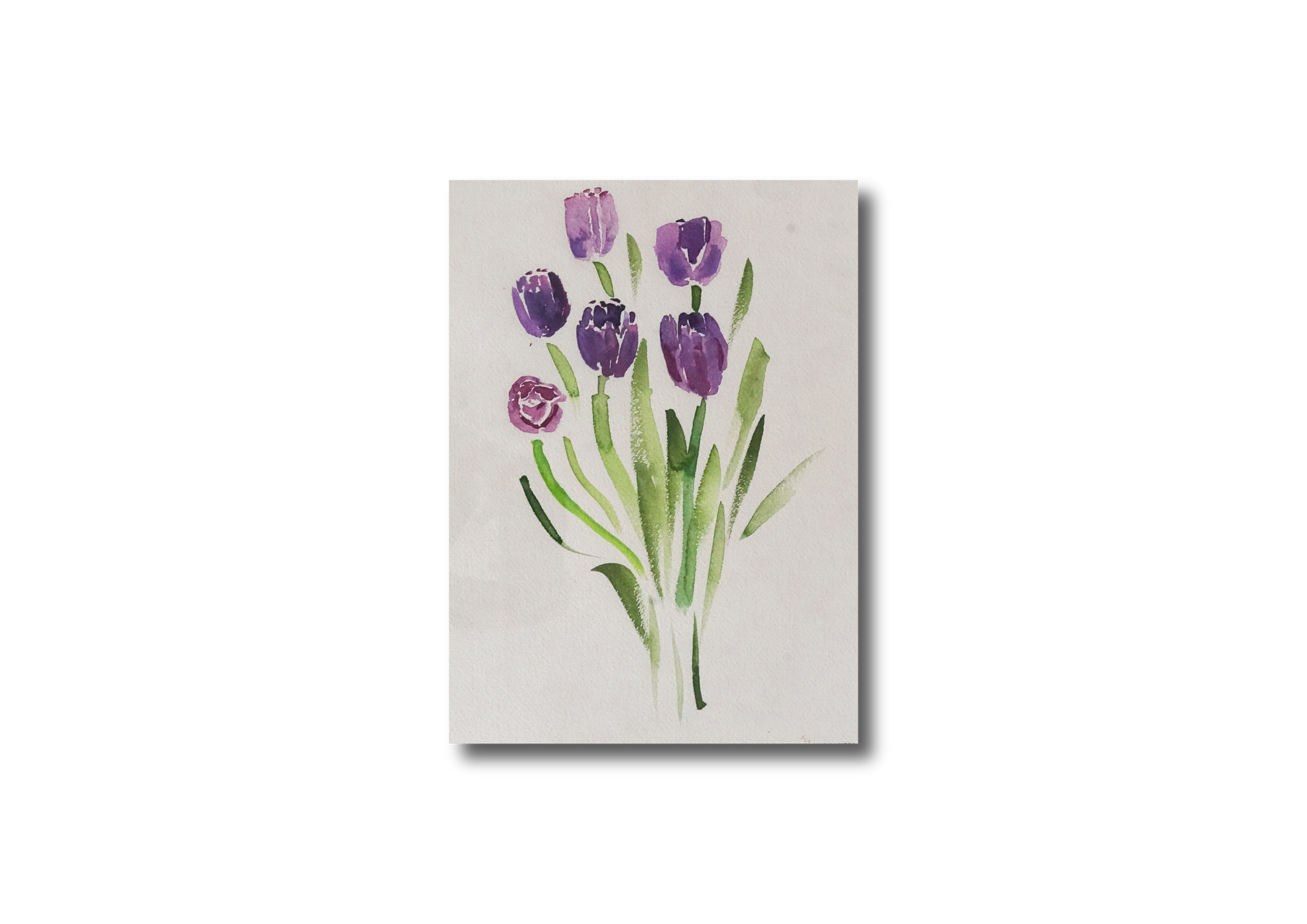 Purple Tulips Watercolor