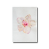 Single Flower Watercolor