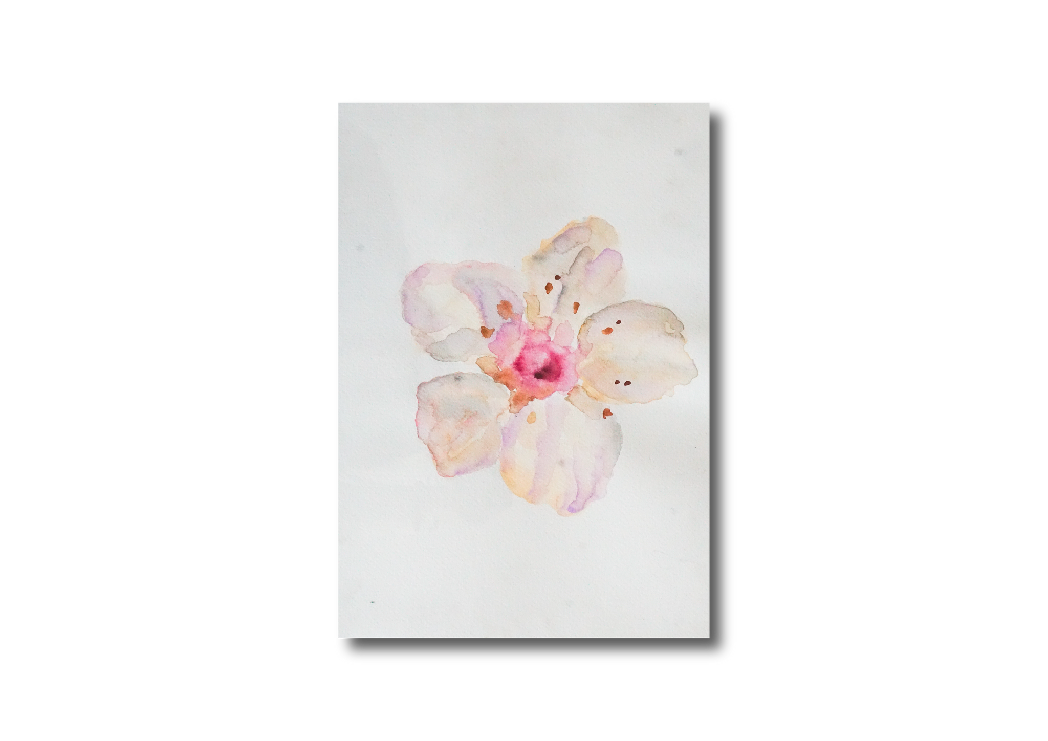 Single Flower Watercolor